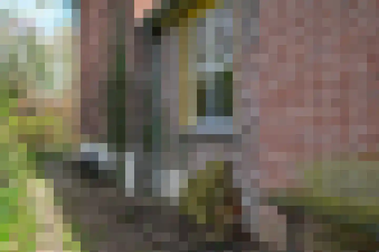 Tempelstraat 2 Beuningen Gld thumbnail 36