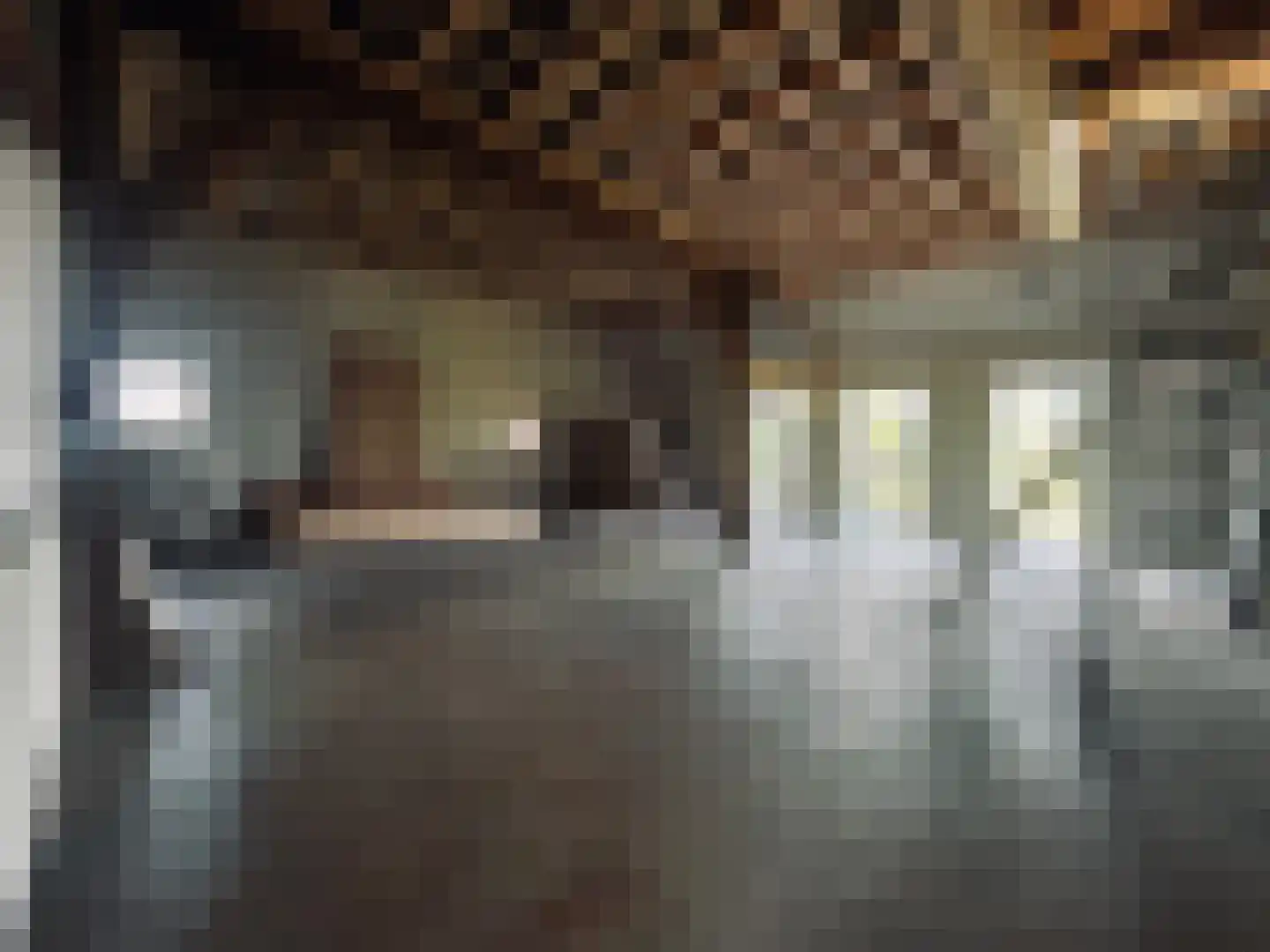 Tempelstraat 2 Beuningen Gld thumbnail 38