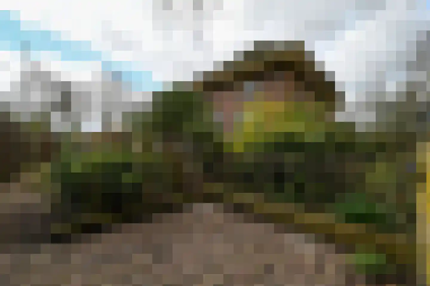 Tempelstraat 2 Beuningen Gld thumbnail 42