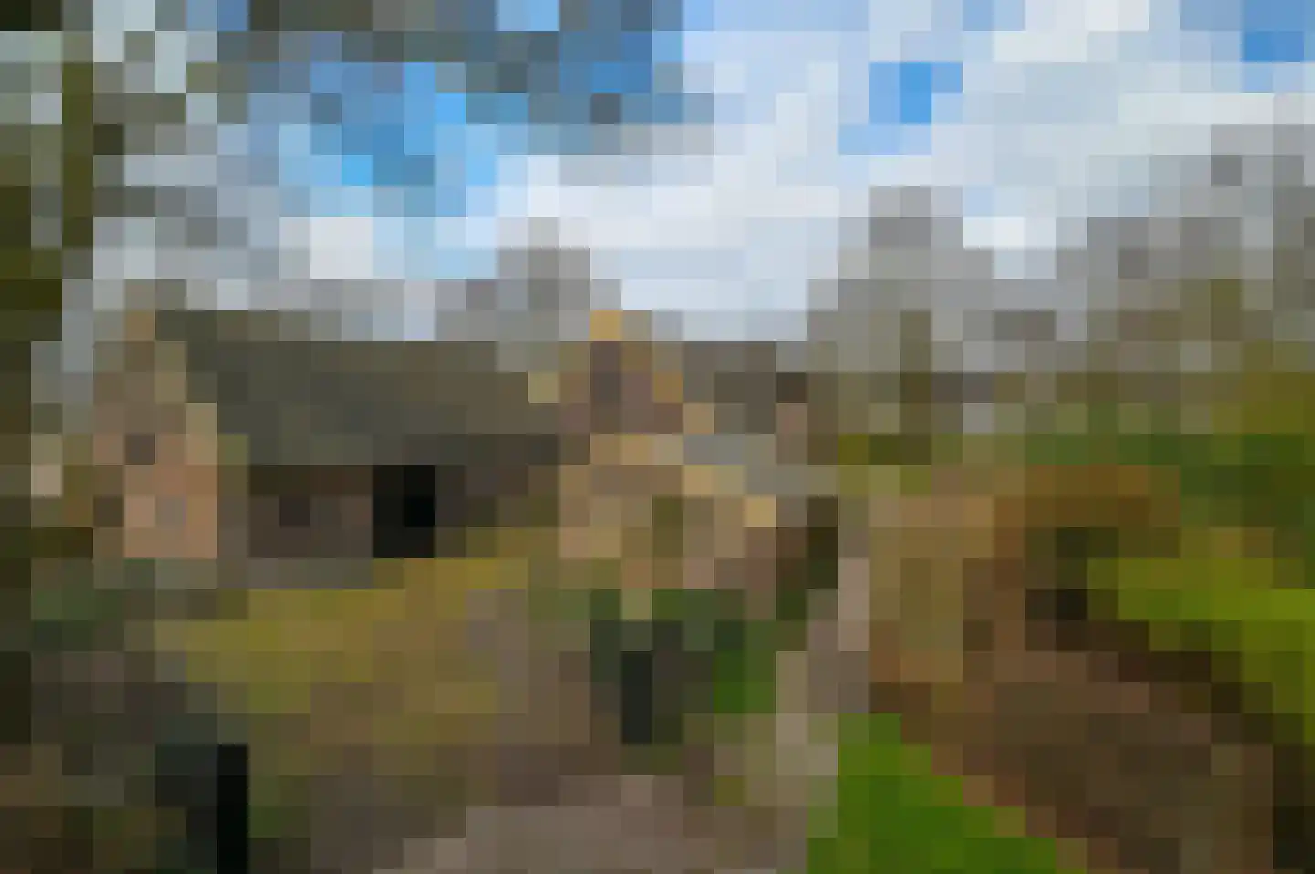 Tempelstraat 2 Beuningen Gld thumbnail 47