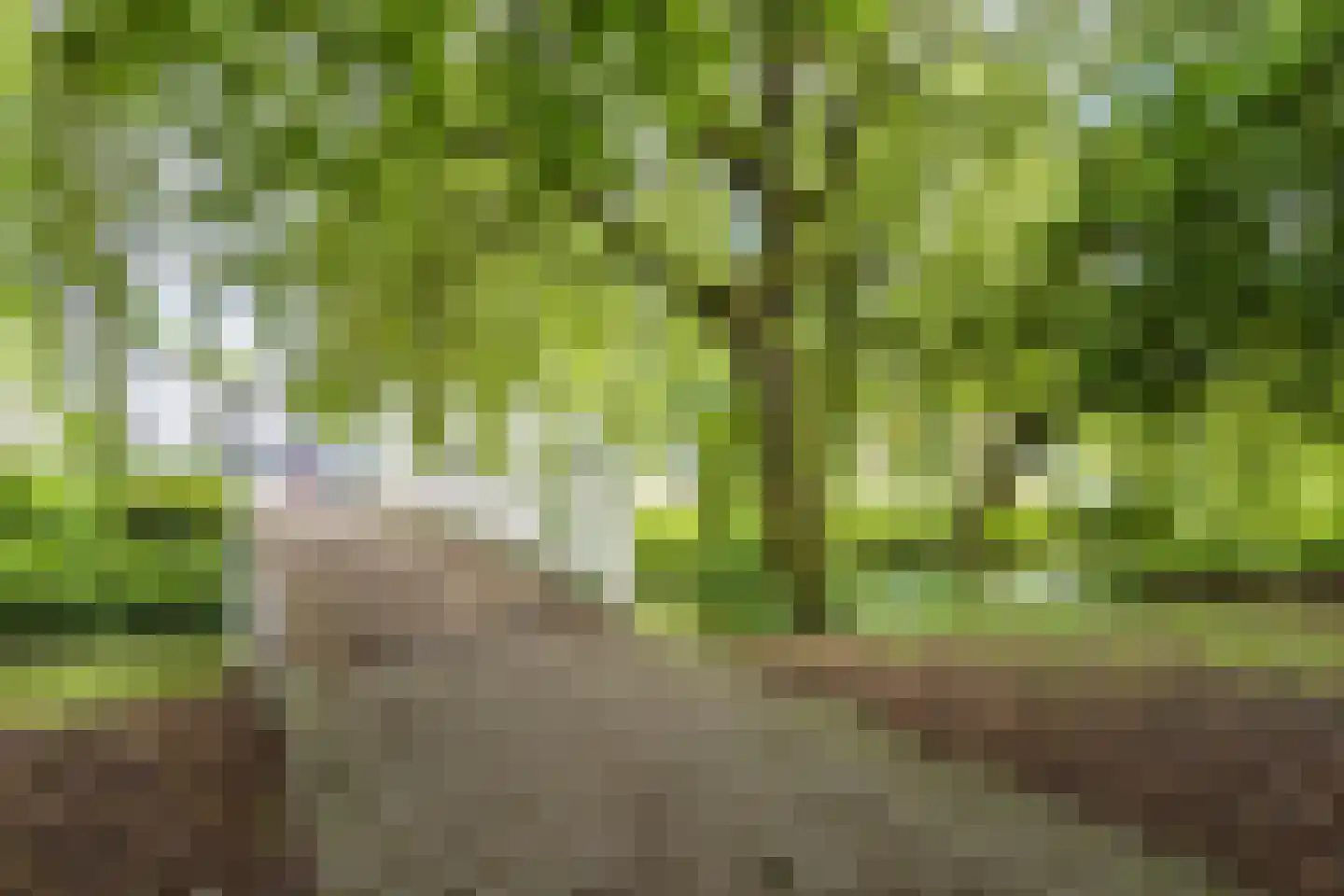 Tempelstraat 28 Beuningen Gld thumbnail 33