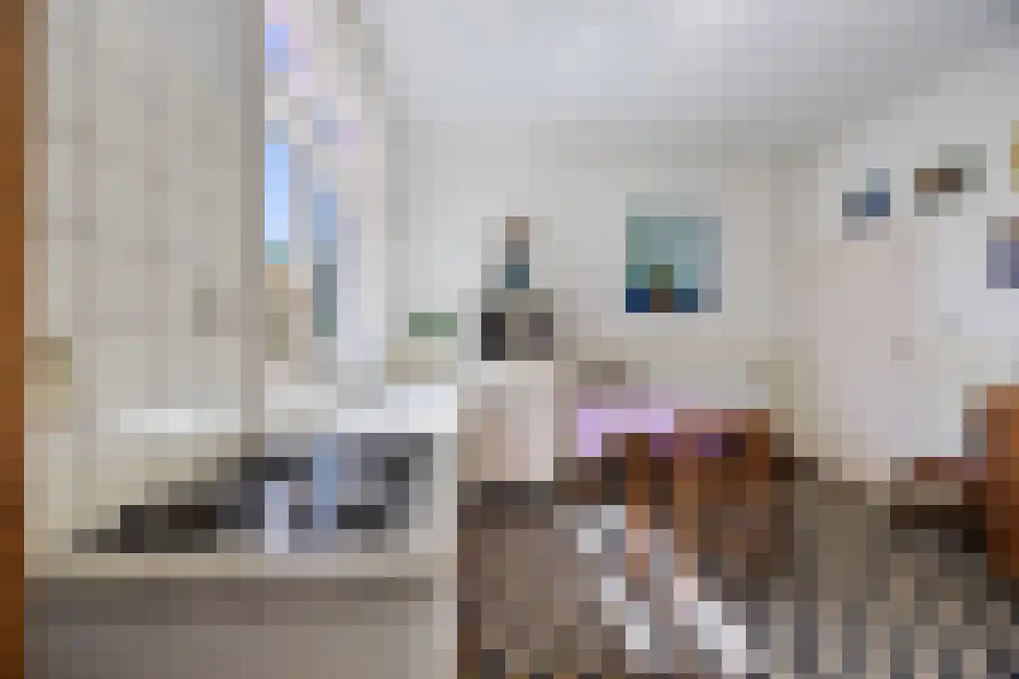 Tempelstraat 4 Overasselt thumbnail 10