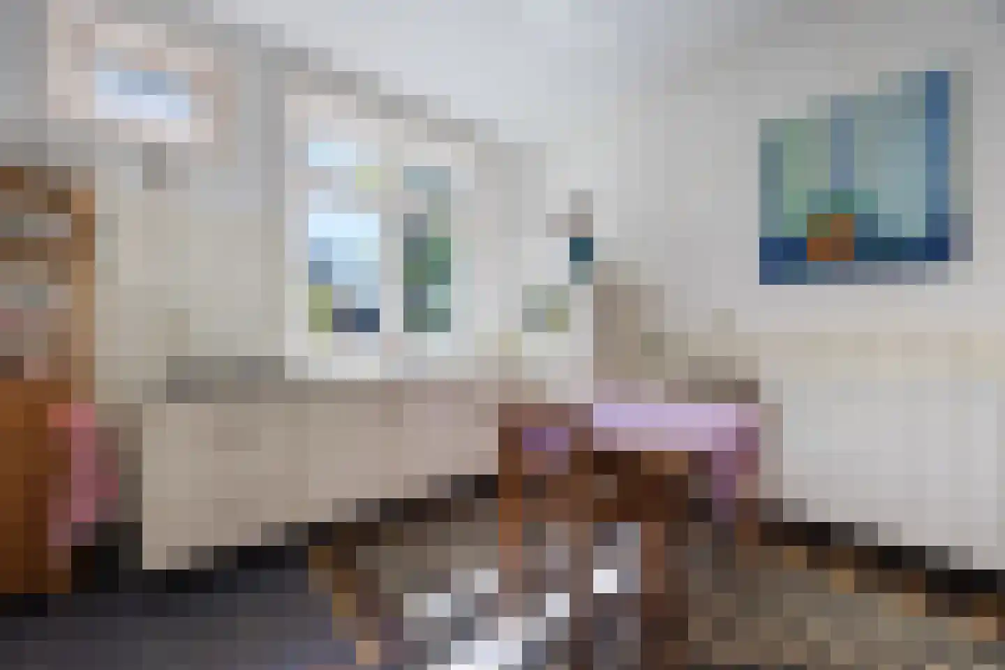 Tempelstraat 4 Overasselt thumbnail 11