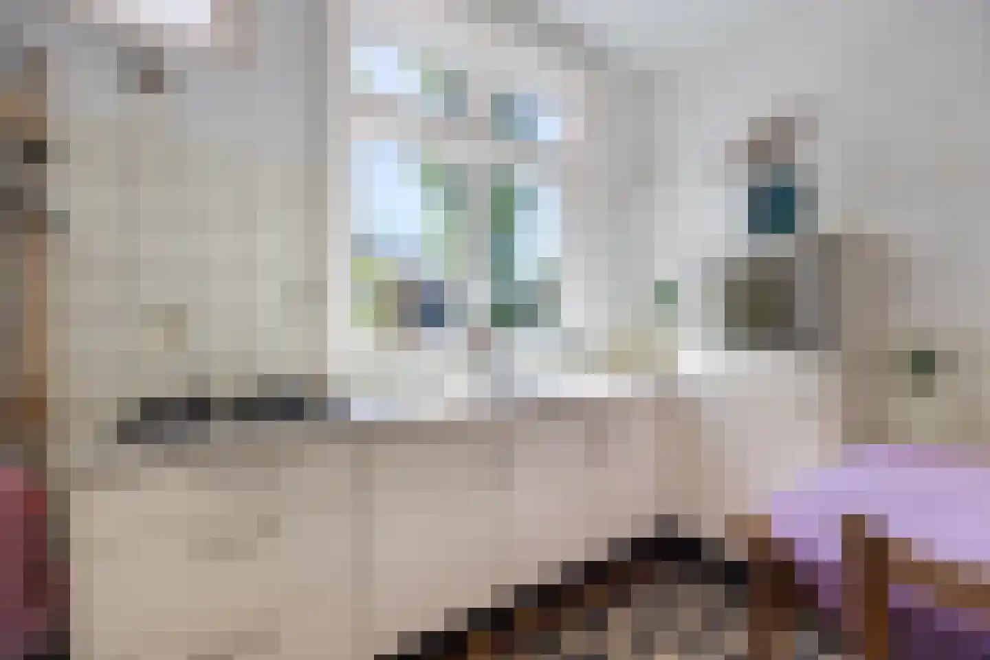 Tempelstraat 4 Overasselt thumbnail 12