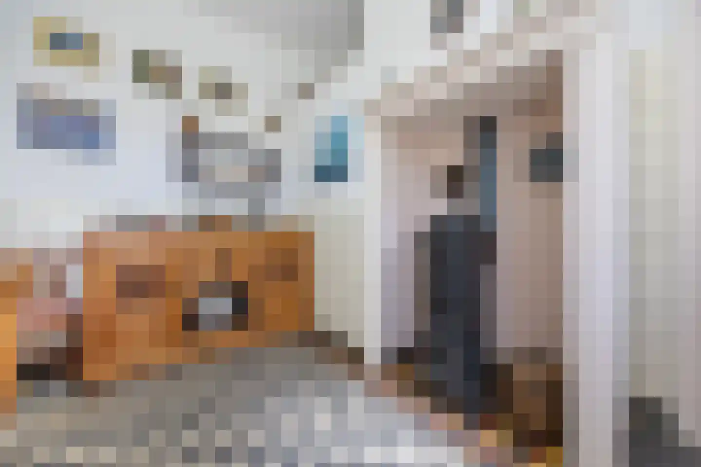 Tempelstraat 4 Overasselt thumbnail 13