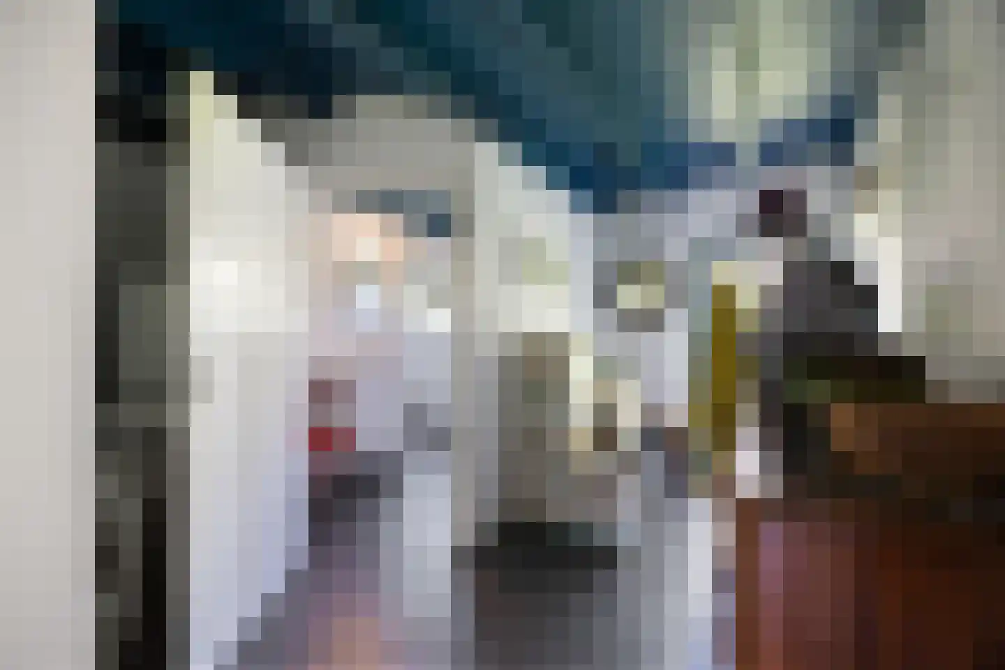 Tempelstraat 4 Overasselt thumbnail 14