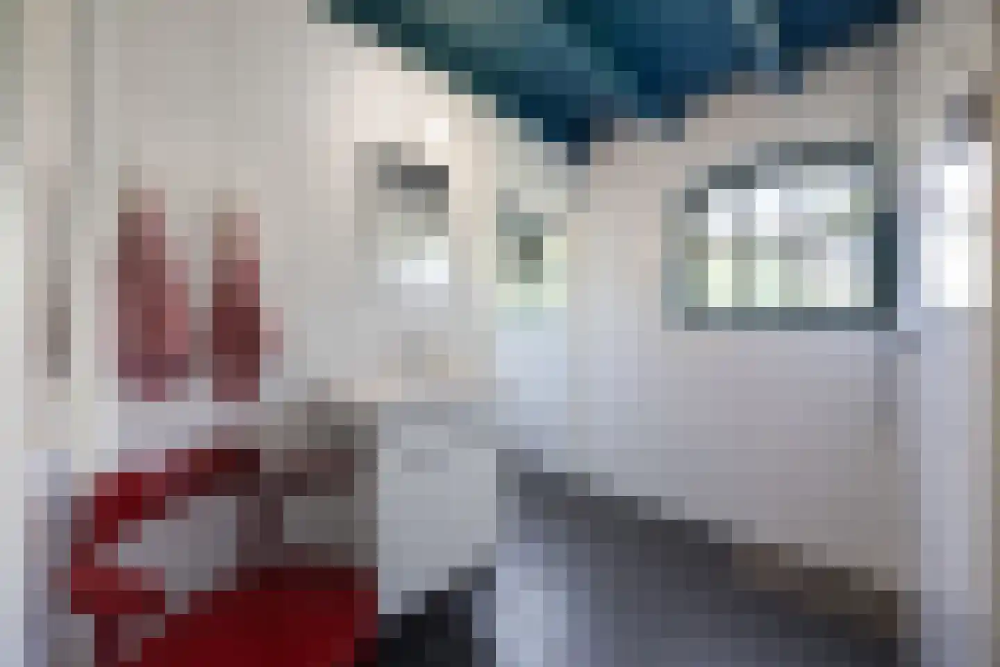 Tempelstraat 4 Overasselt thumbnail 15