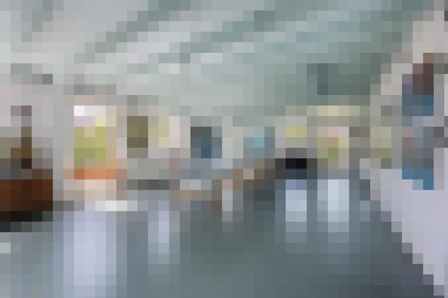 Tempelstraat 4 Overasselt thumbnail 18