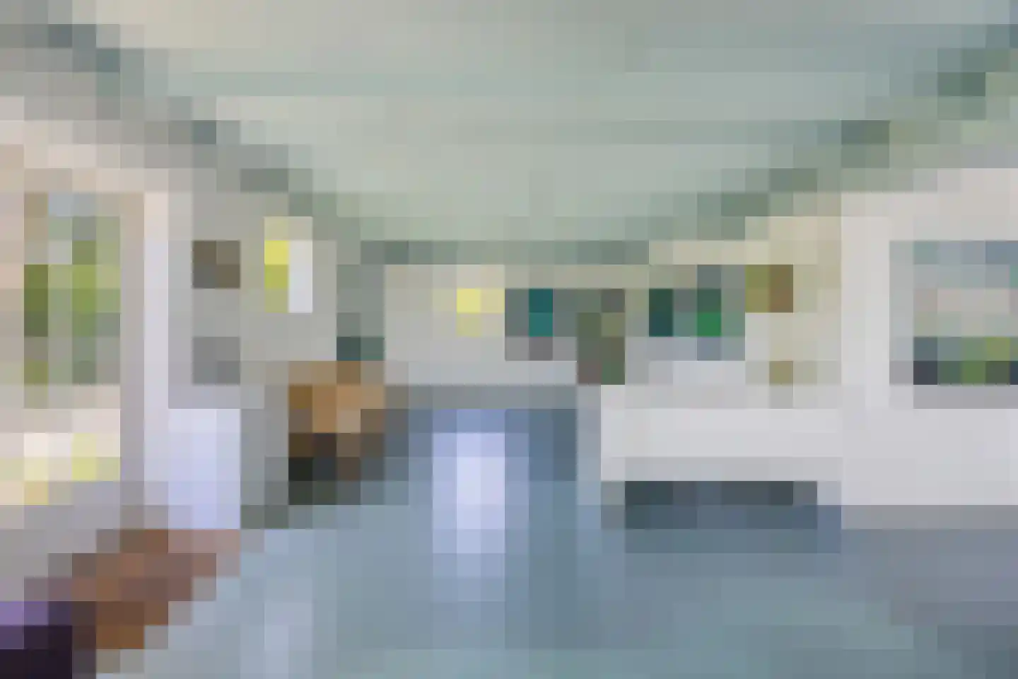 Tempelstraat 4 Overasselt thumbnail 22