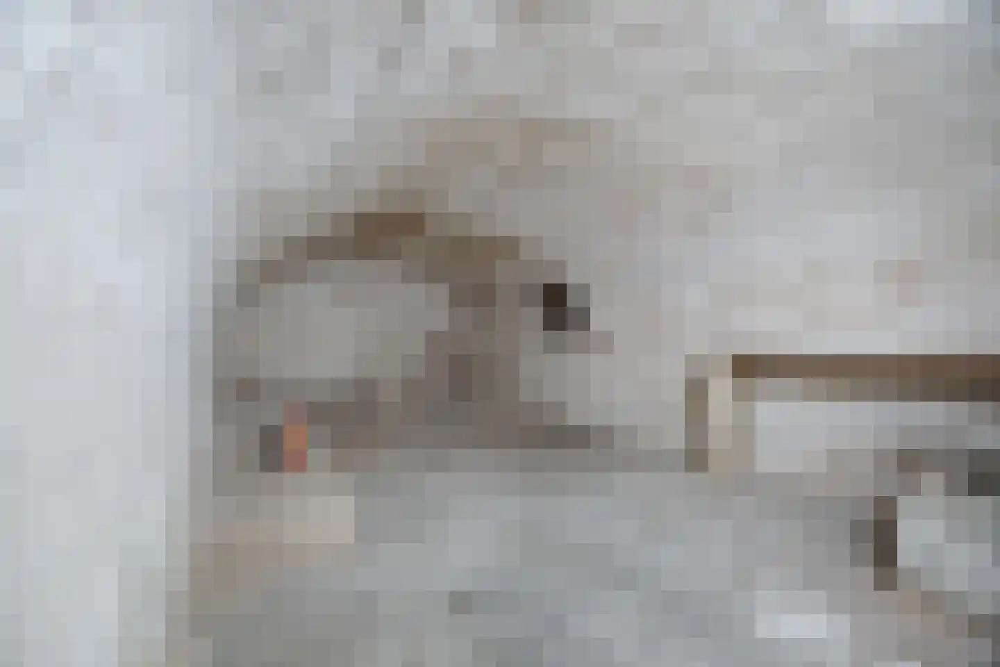 Tempelstraat 4 Overasselt thumbnail 24