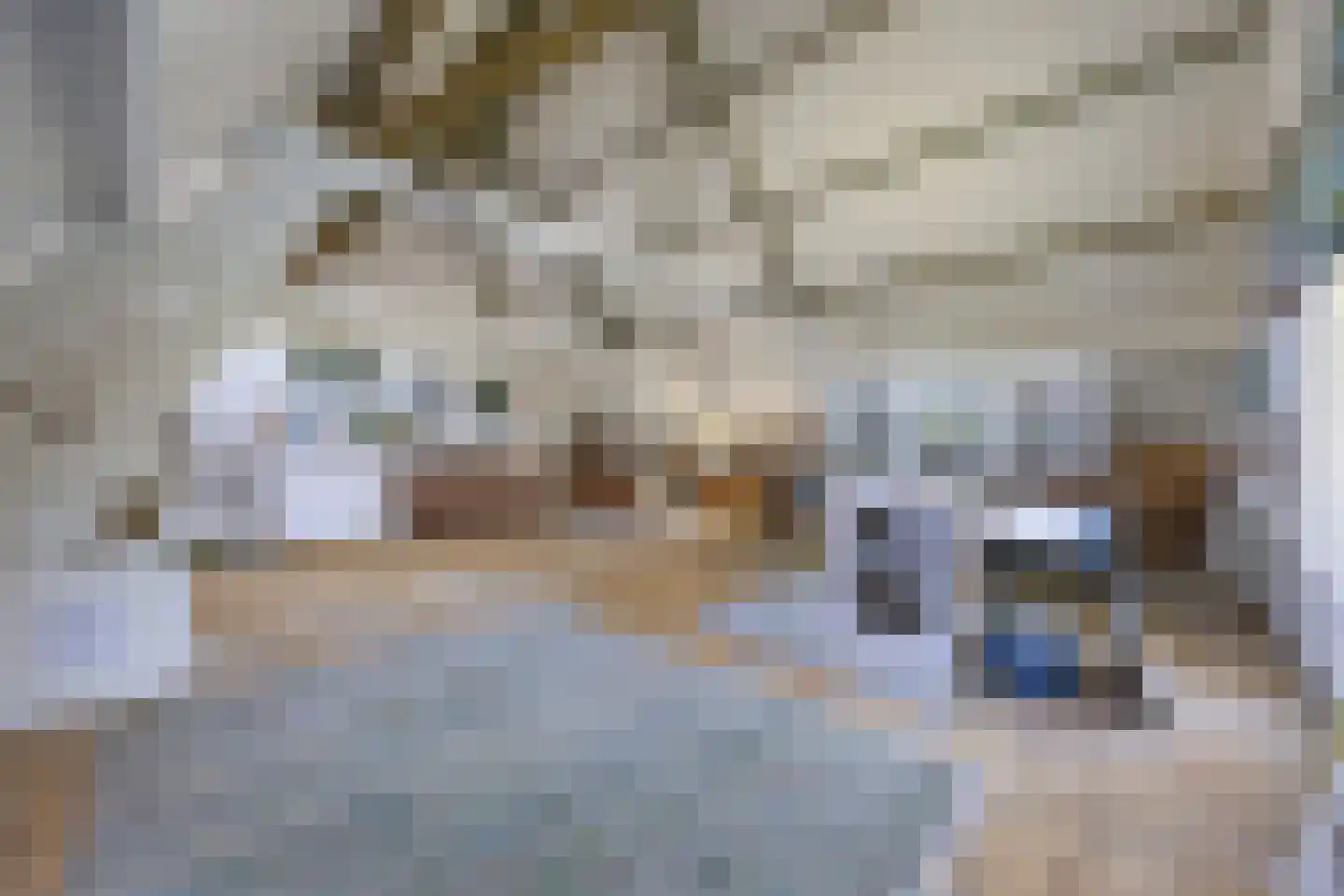Tempelstraat 4 Overasselt thumbnail 25