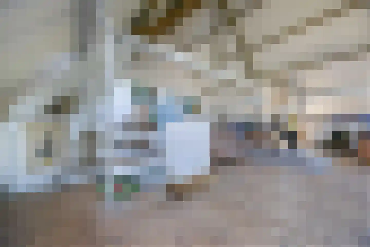 Tempelstraat 4 Overasselt thumbnail 26