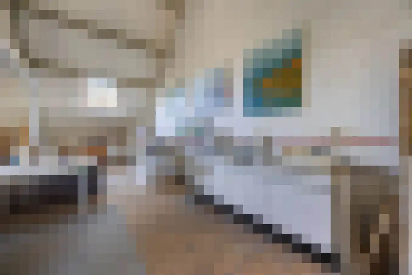 Tempelstraat 4 Overasselt thumbnail 29