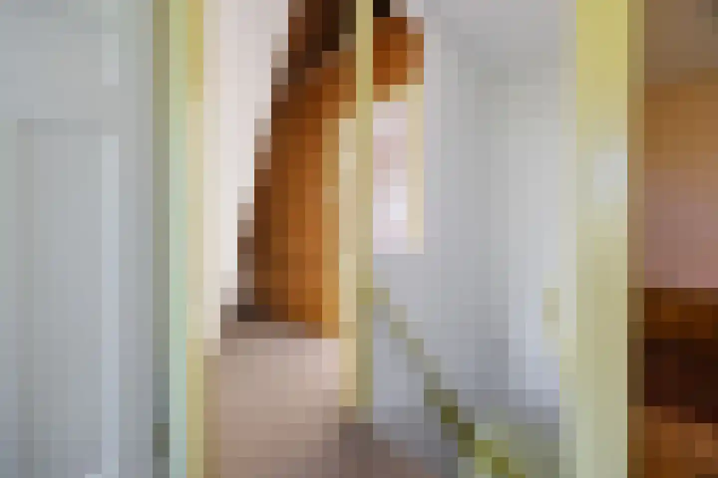 Tempelstraat 4 Overasselt thumbnail 30