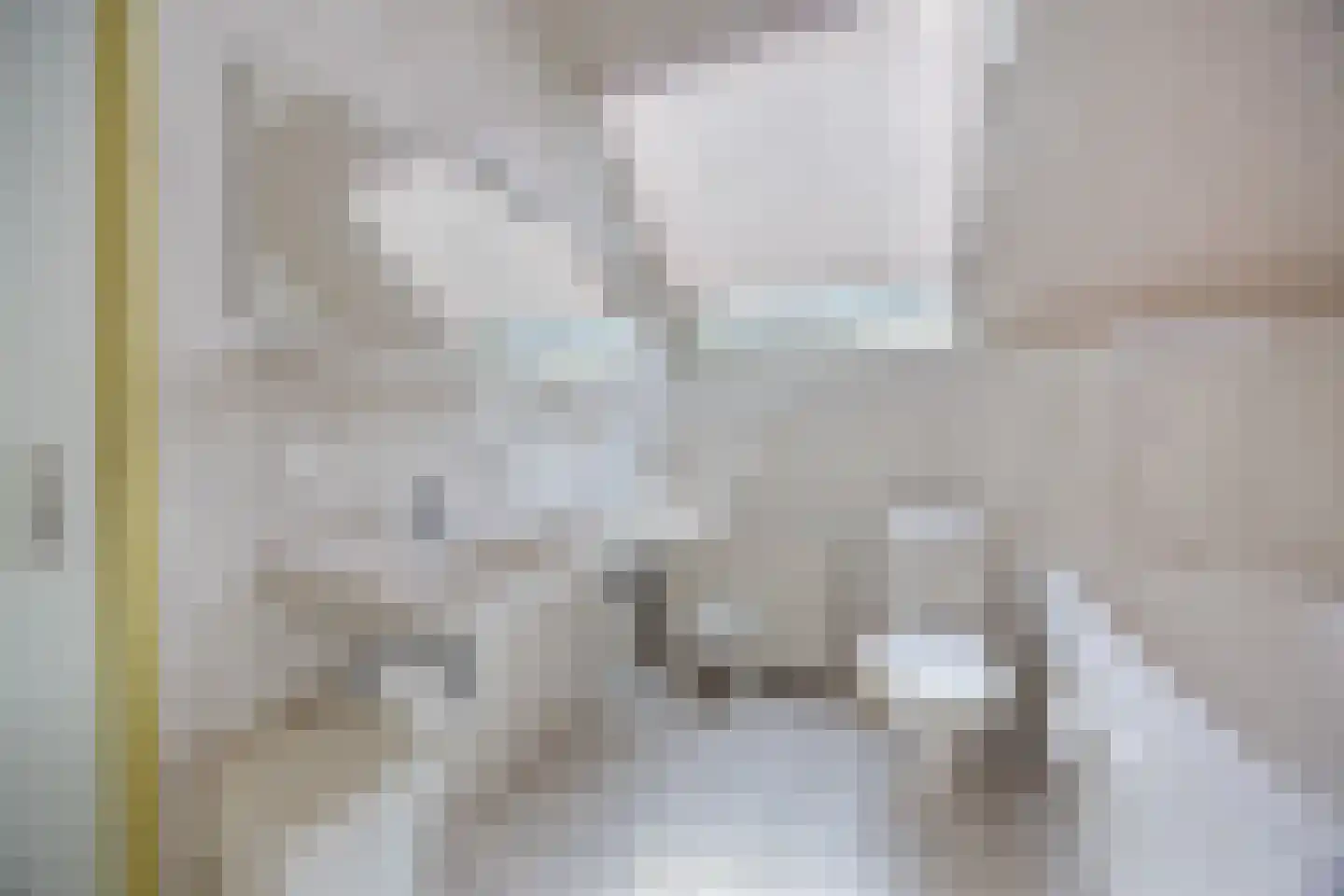 Tempelstraat 4 Overasselt thumbnail 32