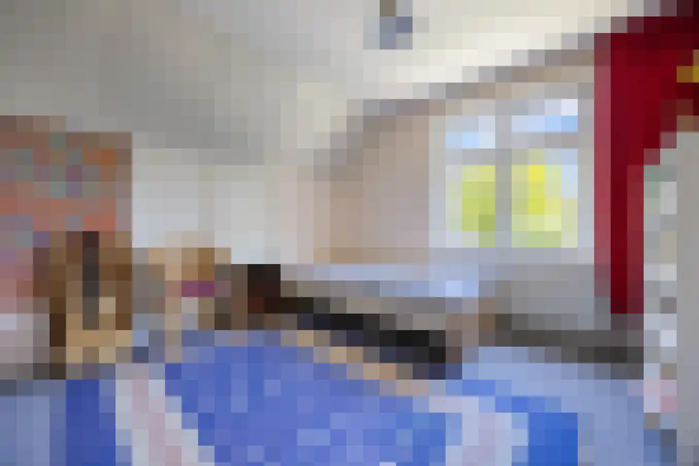 Tempelstraat 4 Overasselt thumbnail 34