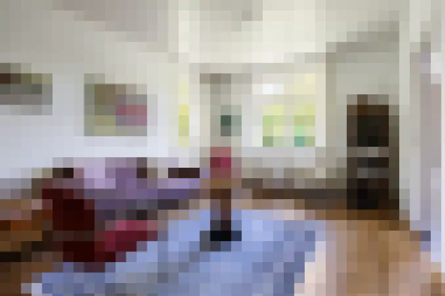 Tempelstraat 4 Overasselt thumbnail 4