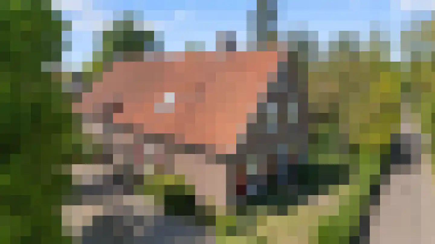 Tempelstraat 4 Overasselt thumbnail 48