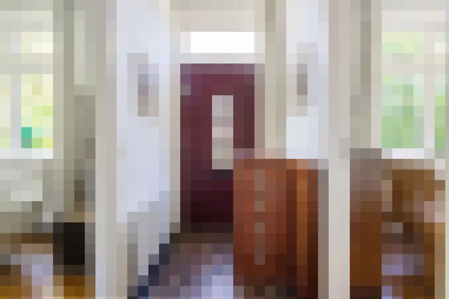 Tempelstraat 4 Overasselt thumbnail 5