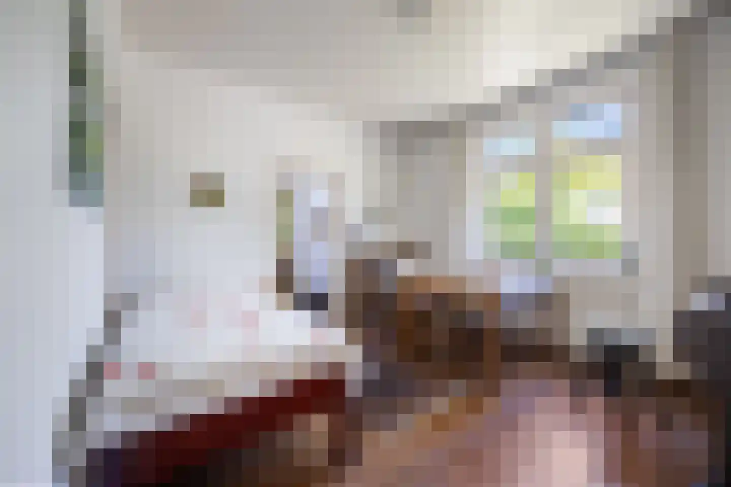 Tempelstraat 4 Overasselt thumbnail 8