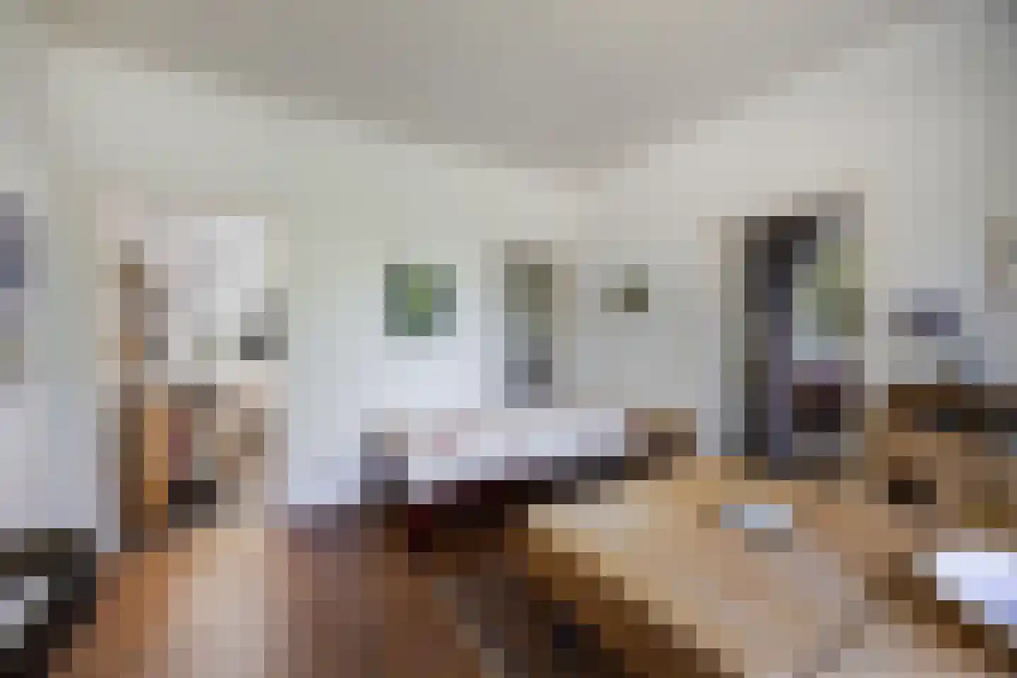 Tempelstraat 4 Overasselt thumbnail 9