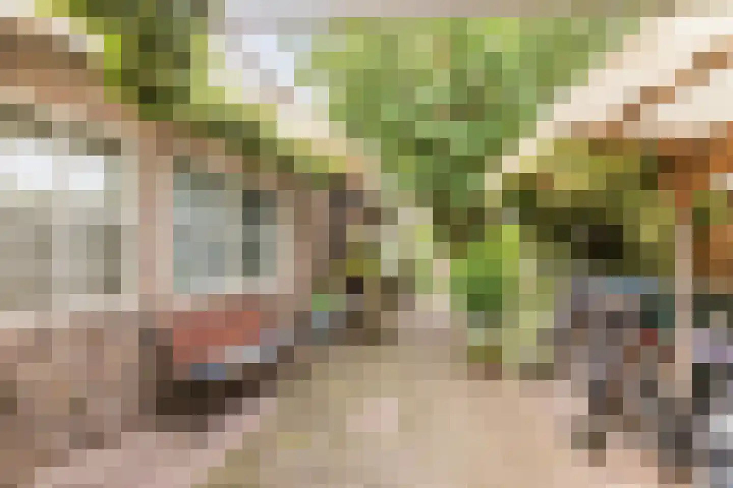 Tempelstraat 59 Beuningen Gld thumbnail 37