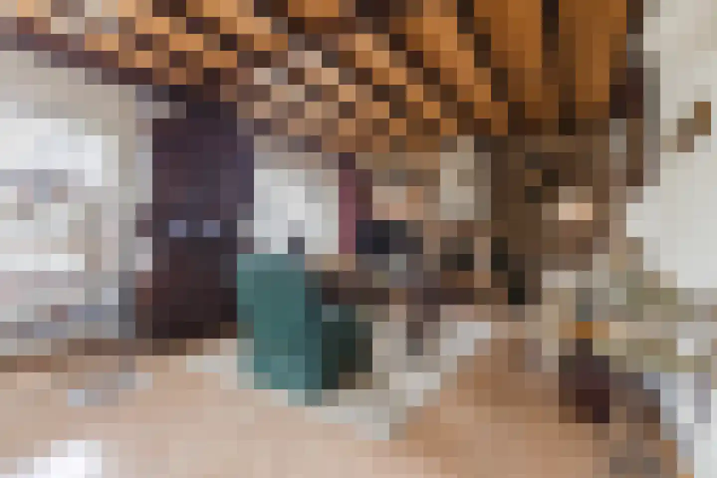 Tempelstraat 59 Beuningen Gld thumbnail 6