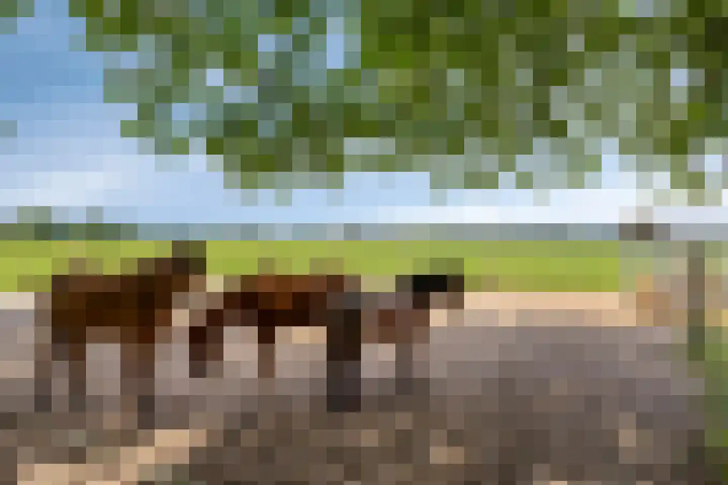 Tempelweg 3 Nijverdal thumbnail 35