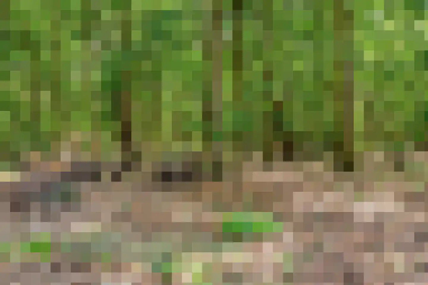 Tempelweg 3 Nijverdal thumbnail 37