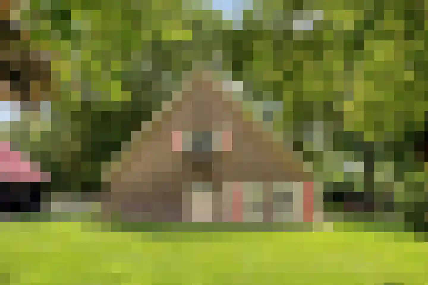 Tempelweg 3 Nijverdal thumbnail 6
