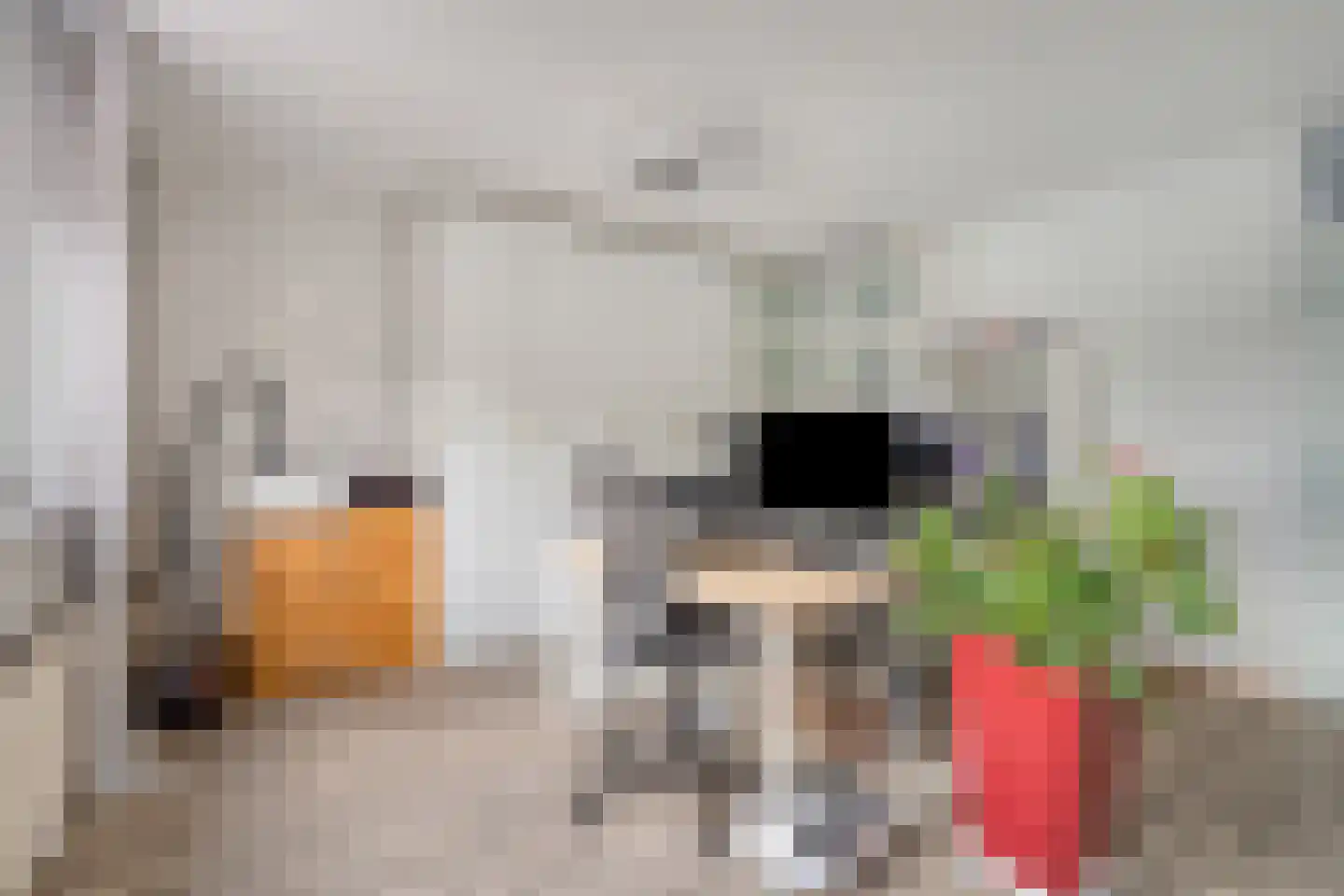 Tempeststraat 7 A Rotterdam thumbnail 16