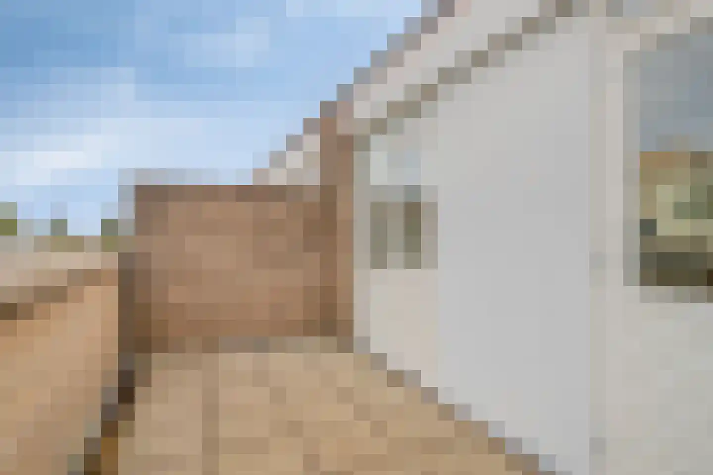Tempeststraat 7 A Rotterdam thumbnail 20