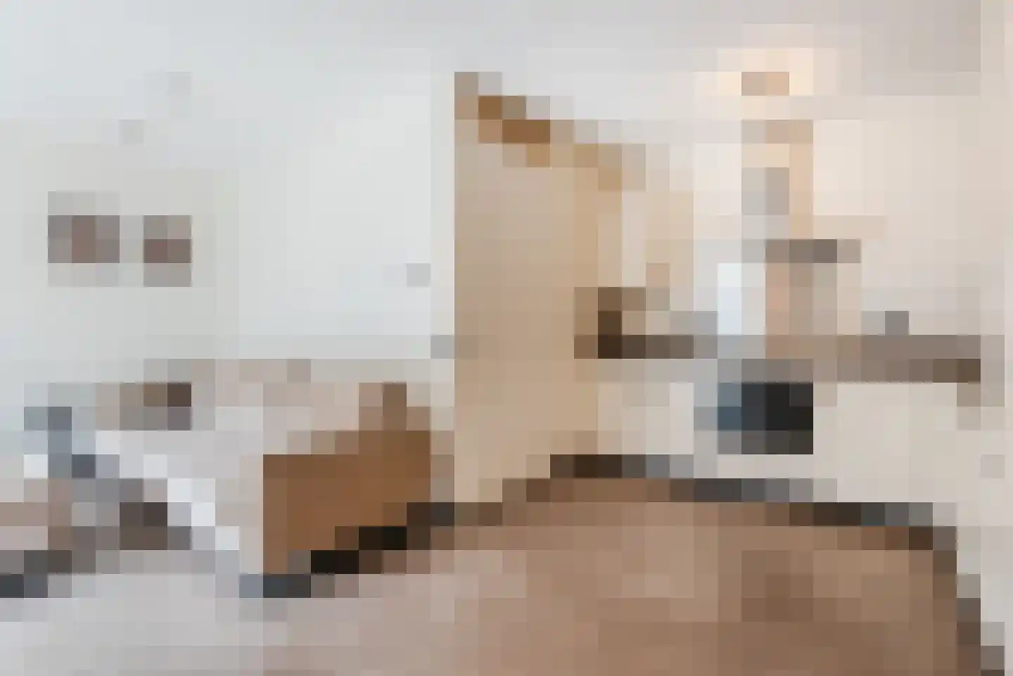 Tempo Doeloestraat 157 Almere thumbnail 6