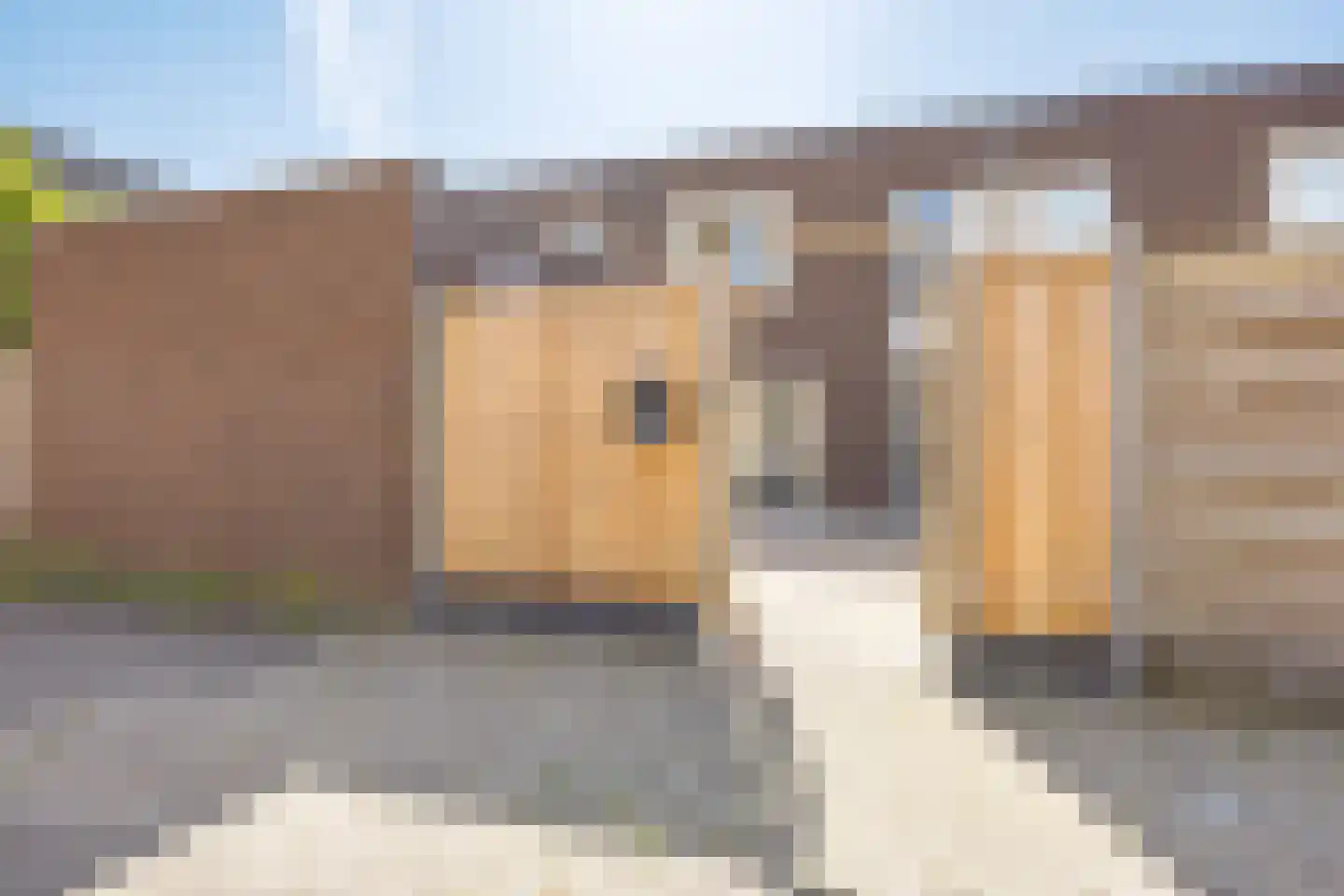 Tempo Doeloestraat 165 Almere thumbnail 23