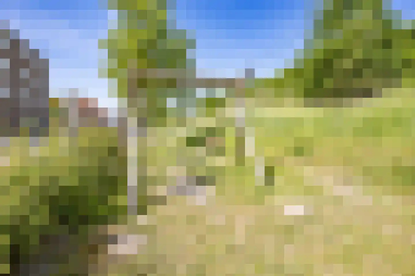Tempo Doeloestraat 165 Almere thumbnail 30