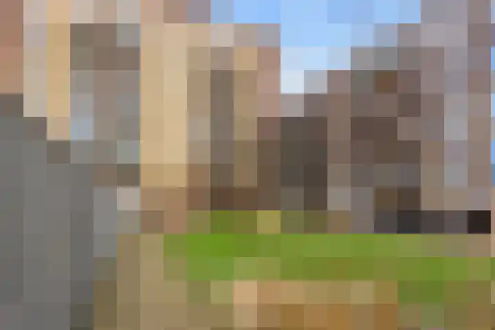 Tempo Doeloestraat 178 Almere thumbnail 27