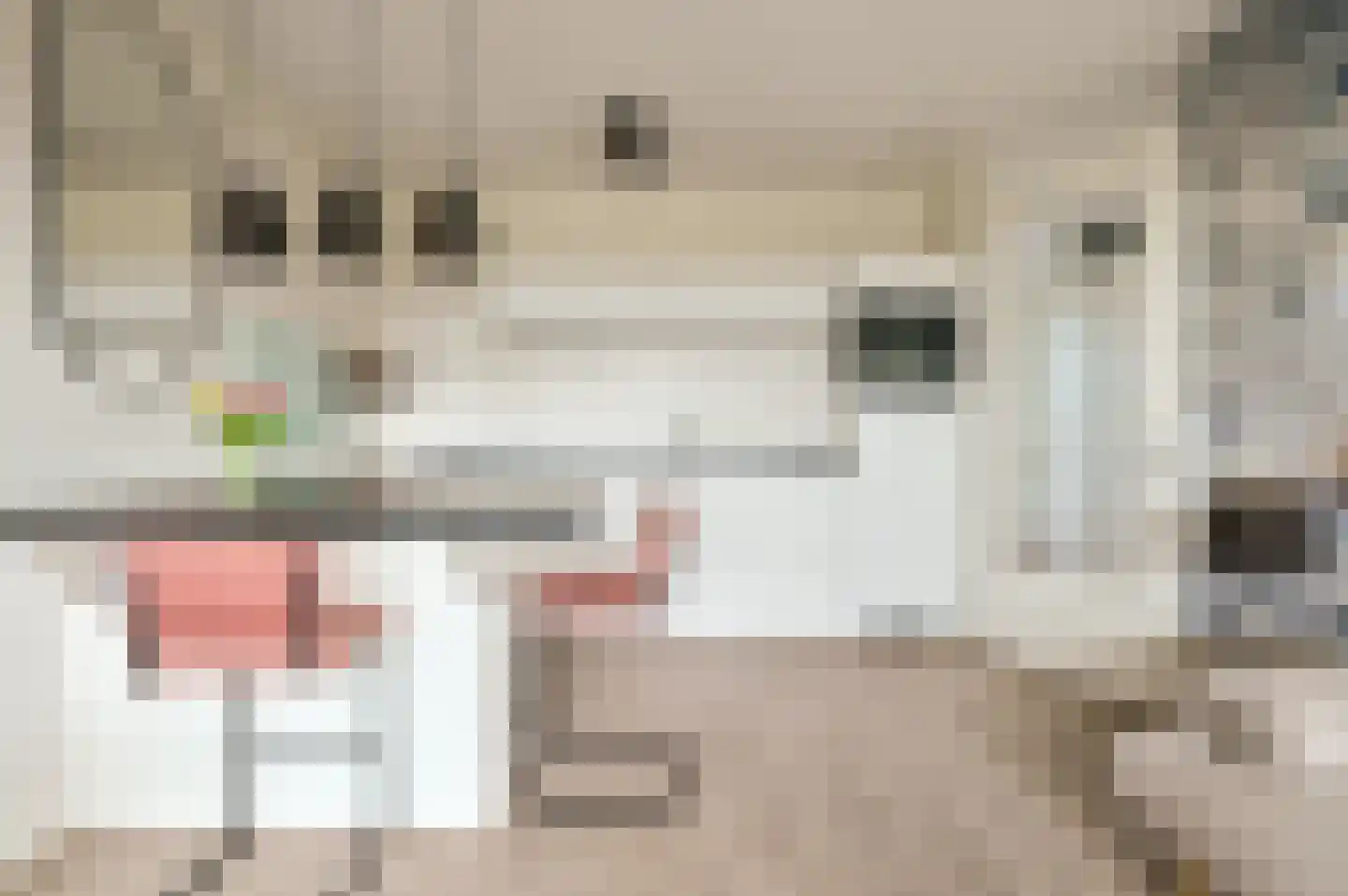 Tempo Doeloestraat 186 Almere thumbnail 14