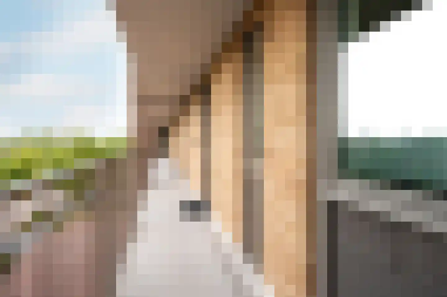 Tempo Doeloestraat 186 Almere thumbnail 20