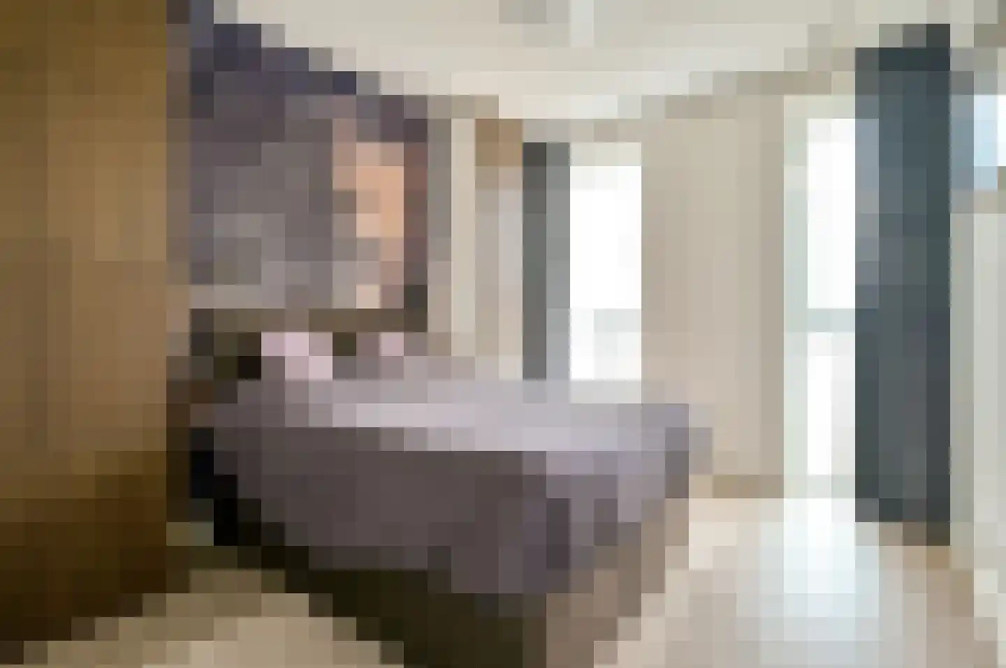Tempo Doeloestraat 186 Almere thumbnail 4