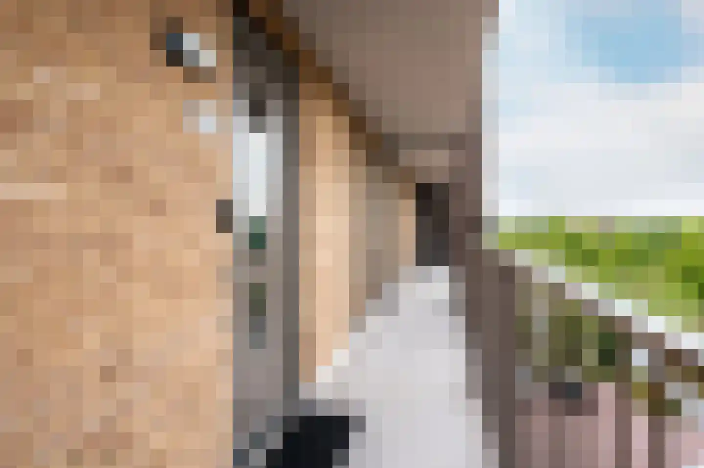 Tempo Doeloestraat 186 Almere thumbnail 8
