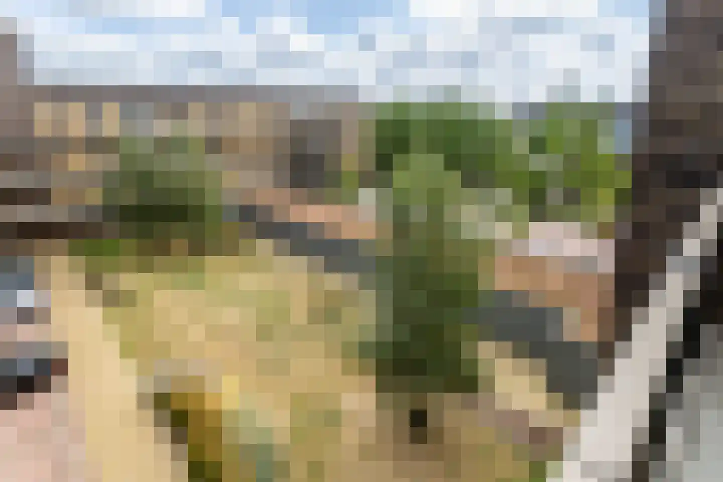 Tempo Doeloestraat 188 Almere thumbnail 31
