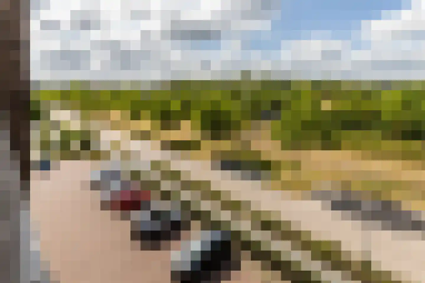 Tempo Doeloestraat 188 Almere thumbnail 32