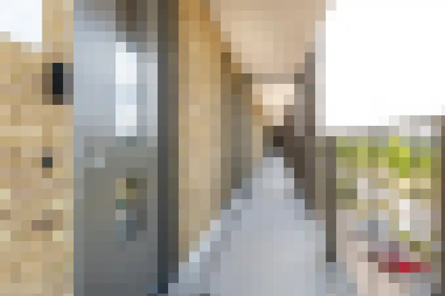 Tempo Doeloestraat 188 Almere thumbnail 9