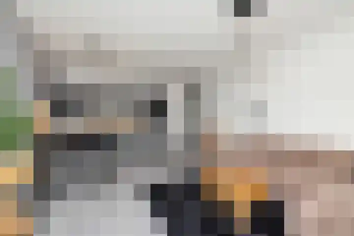 Tempo Doeloestraat 223 Almere thumbnail 14