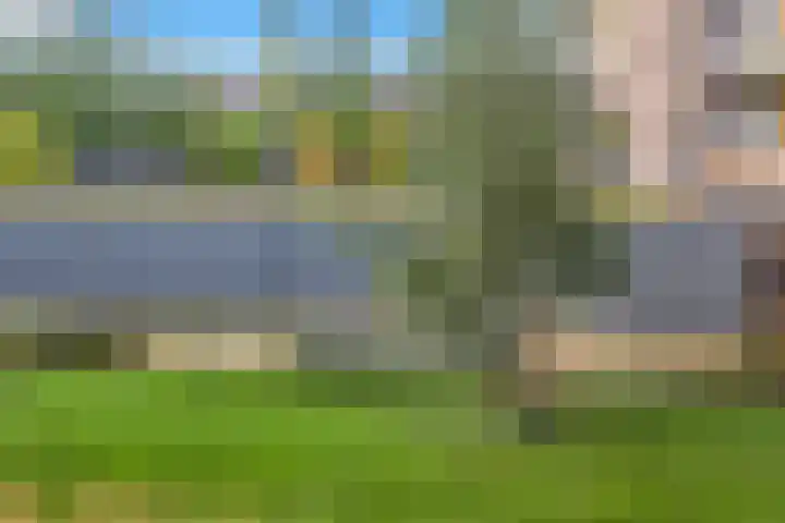 Tempo Doeloestraat 223 Almere thumbnail 6