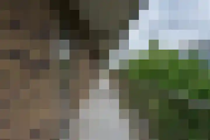 Tempo Doeloestraat 239 Almere thumbnail 13