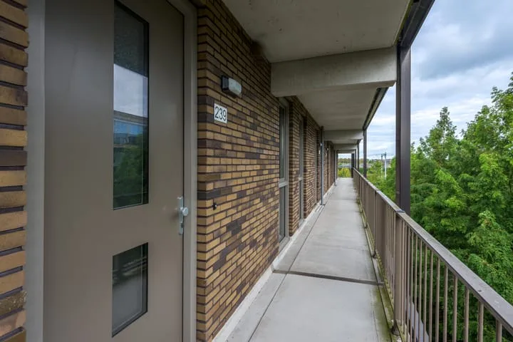 Tempo Doeloestraat 239 Almere thumbnail 14