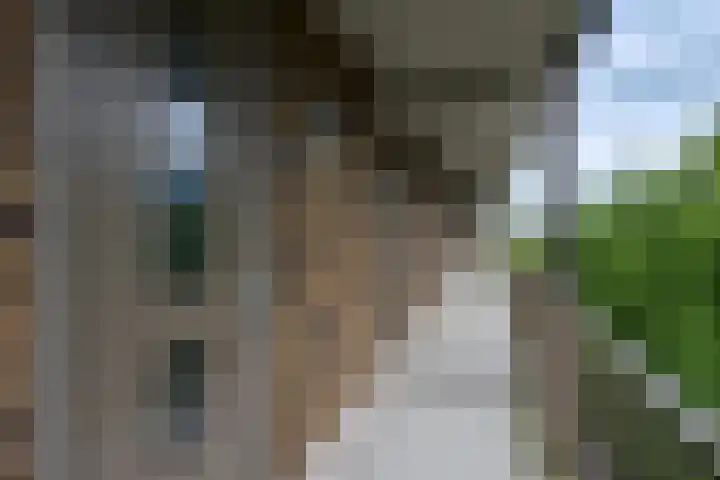 Tempo Doeloestraat 239 Almere thumbnail 14
