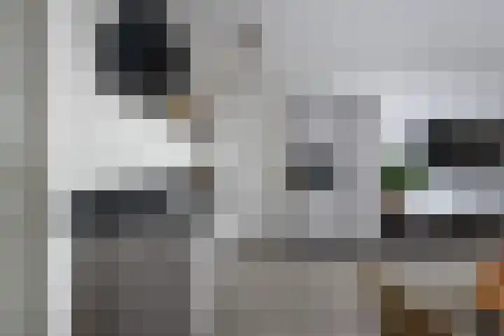 Tempo Doeloestraat 239 Almere thumbnail 16