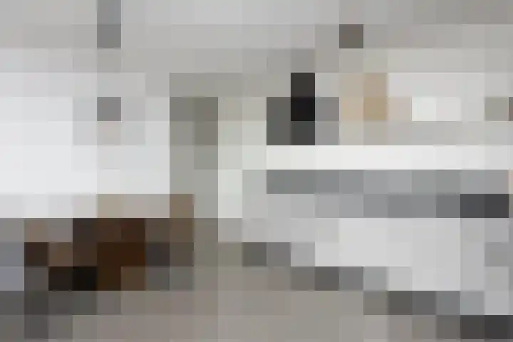 Tempo Doeloestraat 239 Almere thumbnail 25